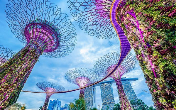 Singapore Free & Easy